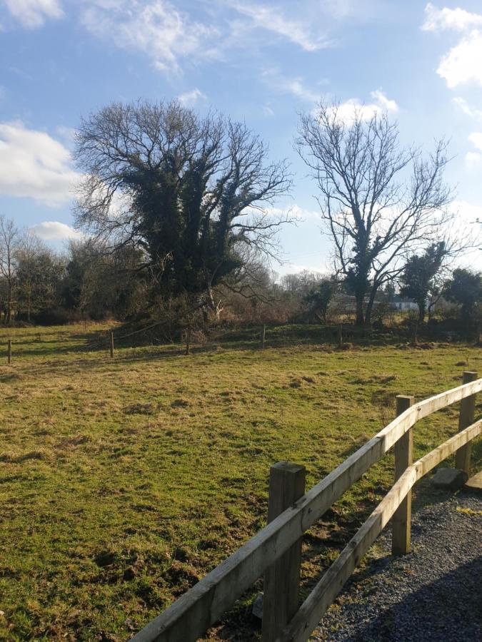 Red Squirrel Lodge Galway Exterior foto